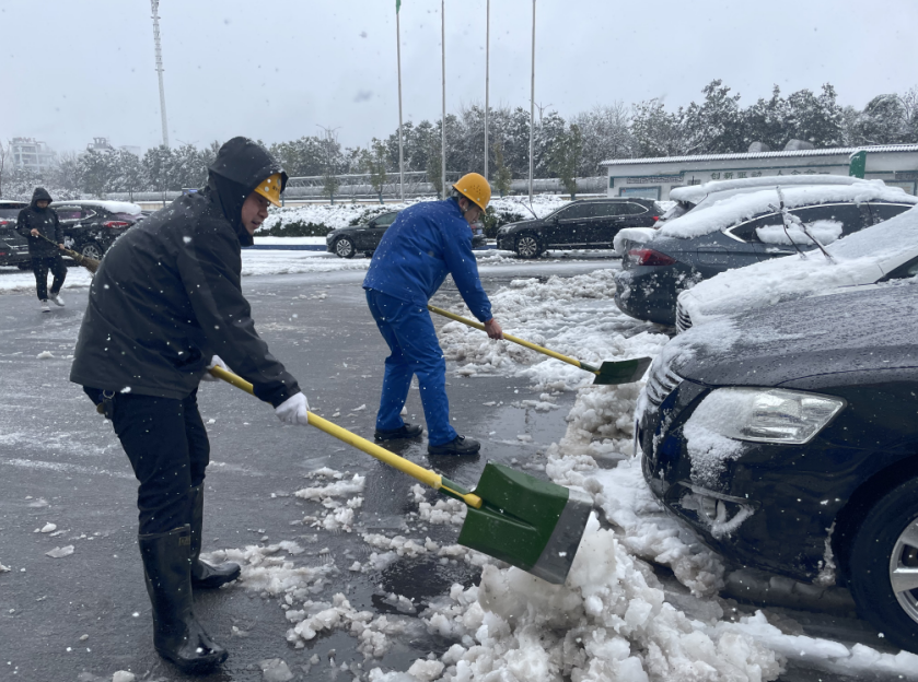 1650785488626089.png D%%3SUMK16)BWOLO1{3KK4D.png